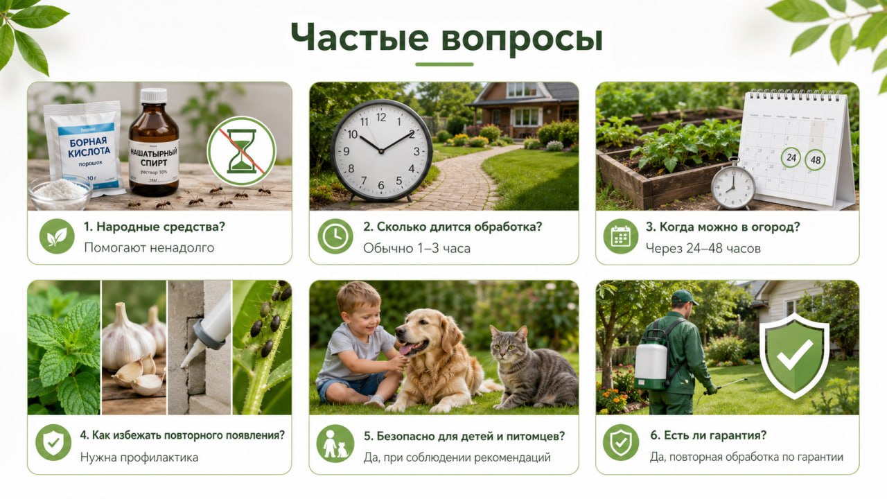 частые вопросы по муравьям